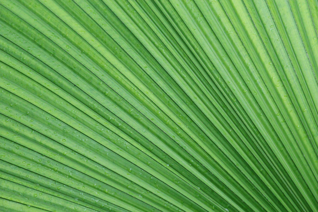 Abstract In Green Green abstract by juliafougstedt on DeviantArt