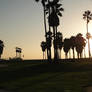 Sunset at Venice Beach