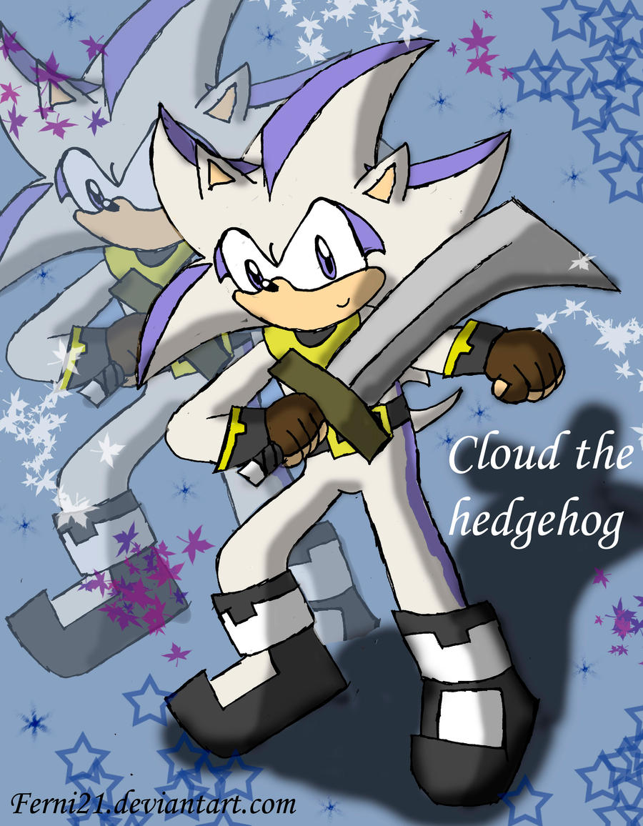 Cloud the hedgehog