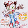 Crash Ban.in pogo  Sonic style