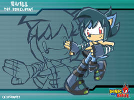 :CM1: WP Quill the porcupine Sonic battle