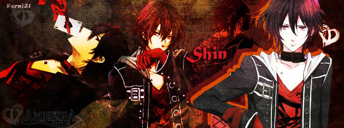 Shin Amnesia portada