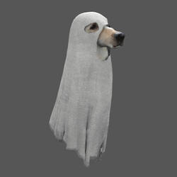 Phantom Dog