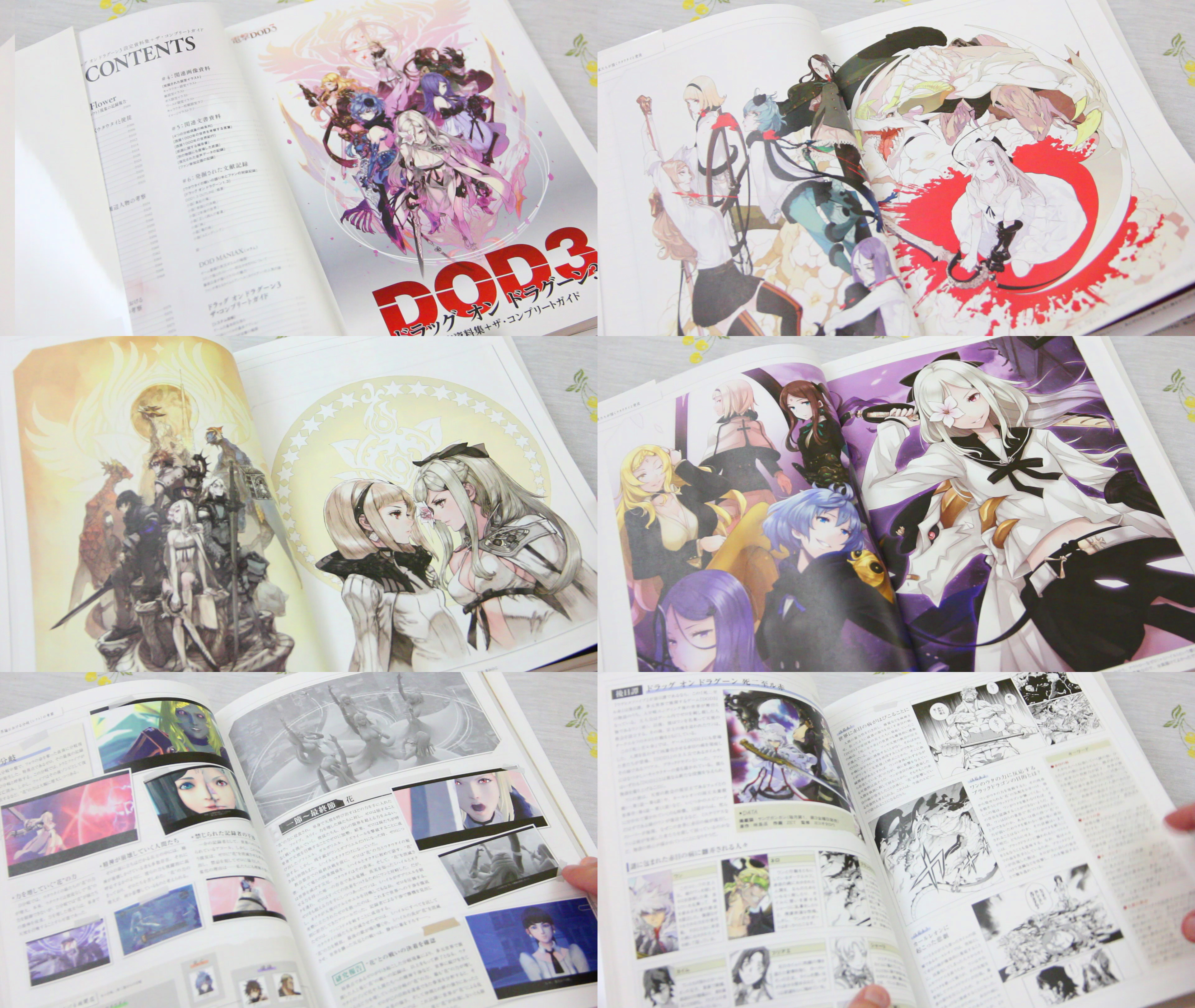 Drag-On Dragoon 3 Artbook