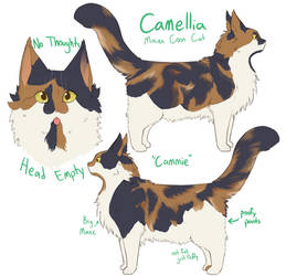 Cammie Stylized Exploration