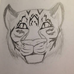 Tiger Sketch (Practice) + Mini-Update