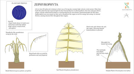 Zephyrophyta