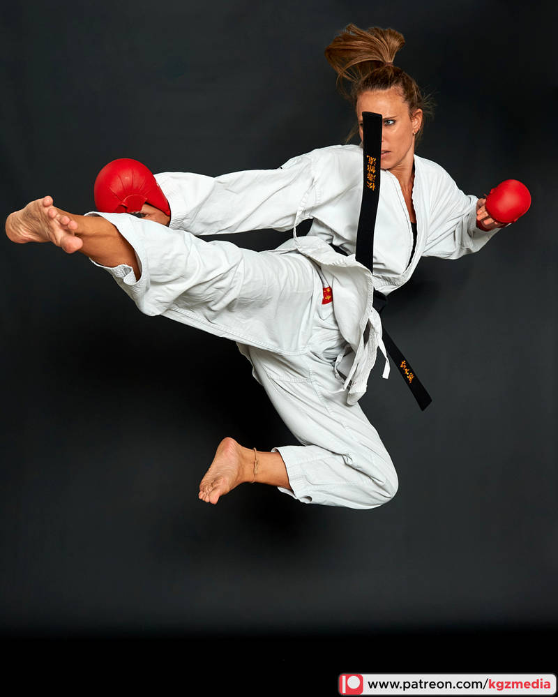 Franziska the Karate Girl - Kicks 1 by kgzmedia on DeviantArt
