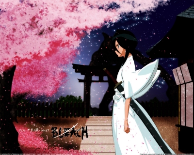 Kuchiki Rukia