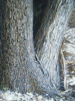 The Forest -detail
