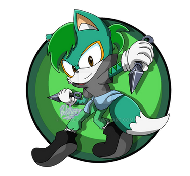 COMM: Sonic Game Z - perfil by Pocket4679 on DeviantArt