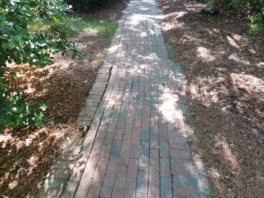 Path Walk Shad A Shady Path to Walk by TehNeon10 on DeviantArt