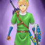 Skyward sword link again