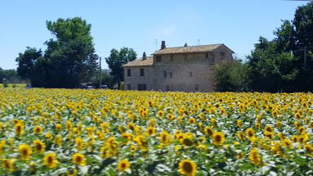 Summer in Italy