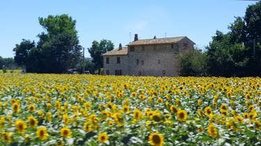 Summer in Italy