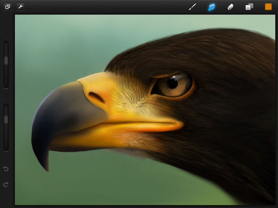 Procreate Eagle by JamesCuda