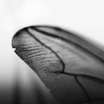 0214 broken dreams by Oo-lacrima-oO