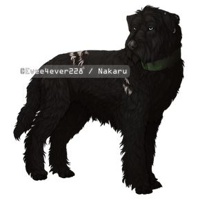 Black Russian Terrier Fullbody Comm