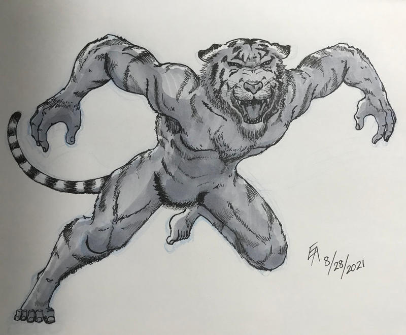 Animal Human Hybrid Tiger Man by mayorlight on DeviantArt