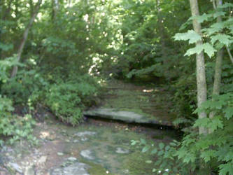 Dried Creekbed