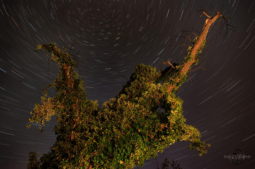 Bodensee Startrails