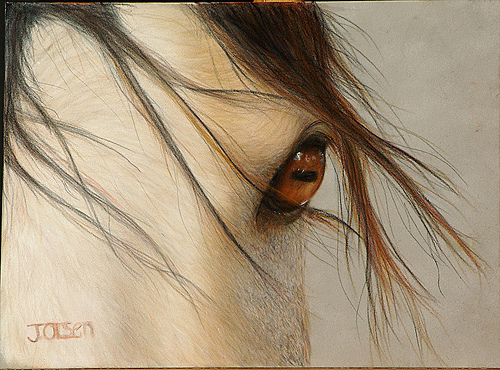 Horse in Pastels