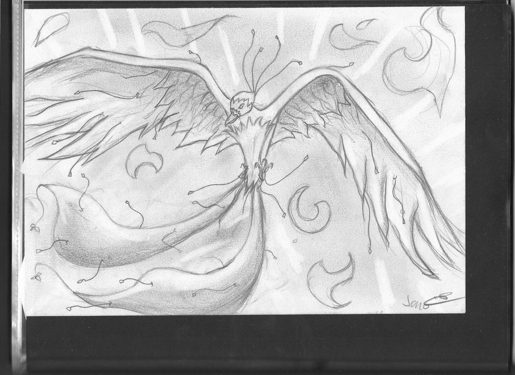 First Phoenix first phoenix by 321jono on DeviantArt
