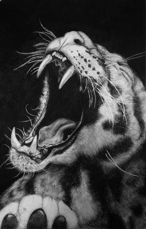 Warcry by Lilia-DeRosso Warcry by Lilia-DeRosso