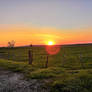 Sunset in Brehain France