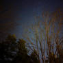 Night