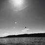 Solitary Flight