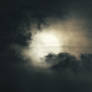 Hidden Morning