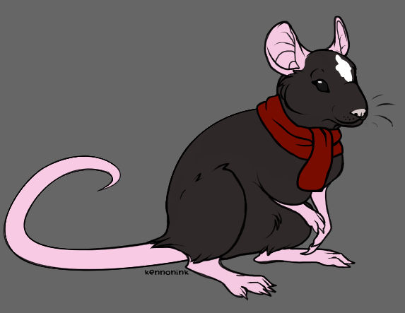 Buddy the rat by Kclar on DeviantArt