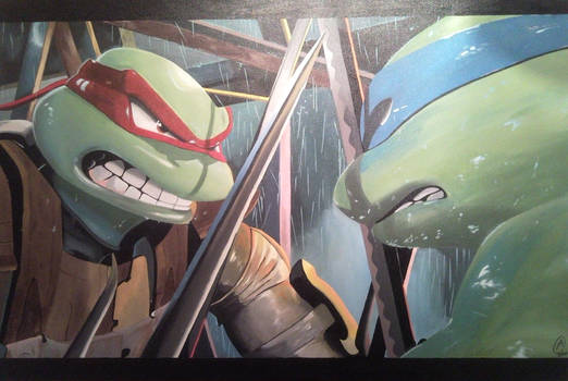 TMNT Raph vs Leo