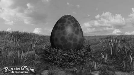 Black Wildpuschels Egg