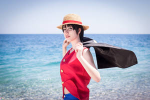 Luffy ~