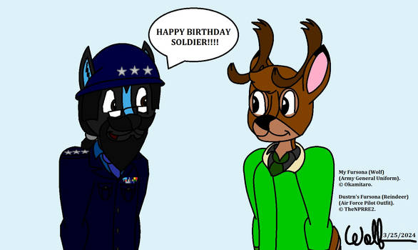 Birthday Soldier! (Happy Birthday TheNPRRE2)