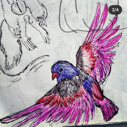 Purple bird