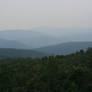 Rolling Hills of Shenandoah