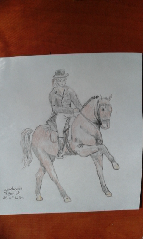 Dressage