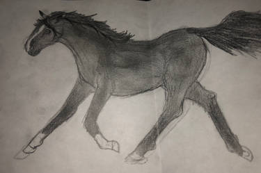 Horse Sketch -running horse