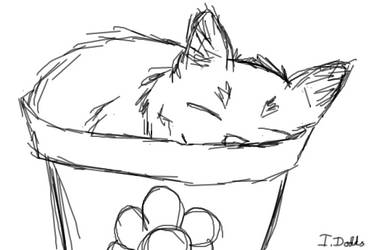 Kitten in a flowerpot (sketch)