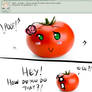 Q49 - tomato!fem!spain for 10 questions
