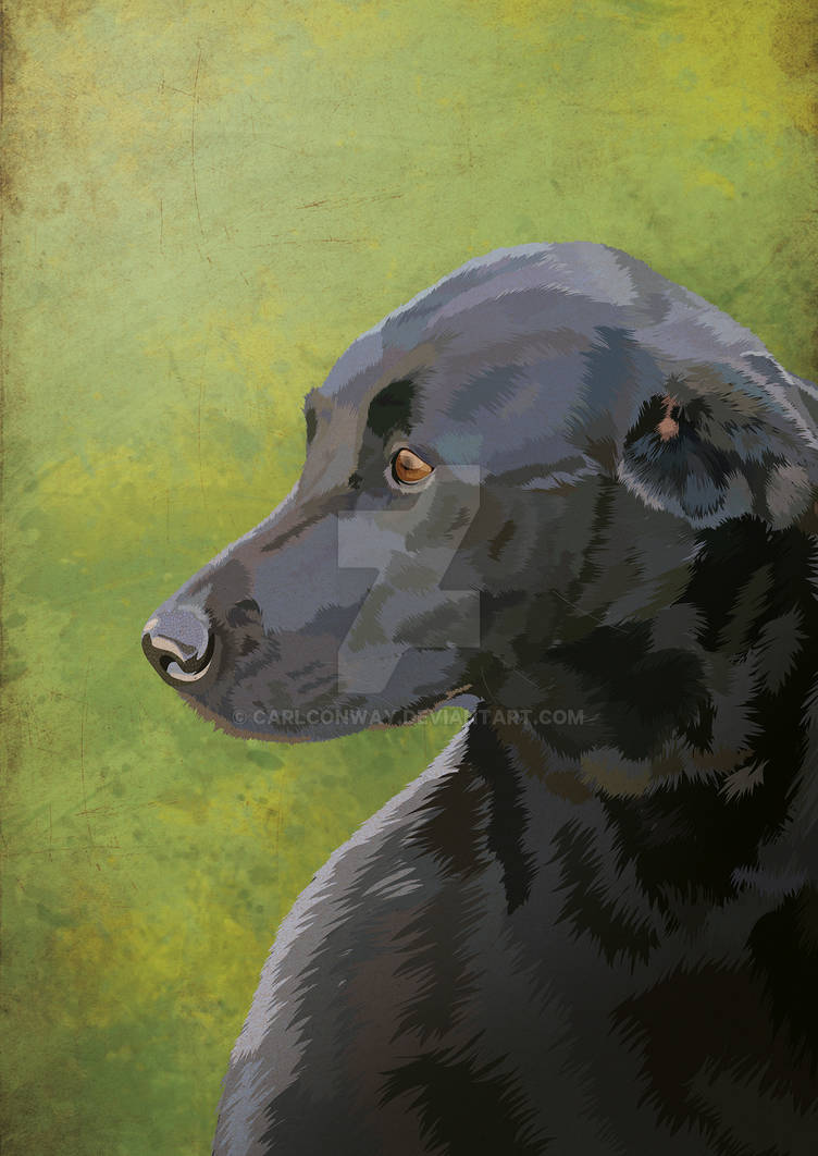 Black Lab Deviantart Black labrador by carlconway on DeviantArt