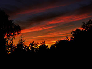 SunDown at wonderland by CapturedDreamz SunDown at wonderland by CapturedDreamz