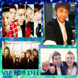 VIP dA ID :D