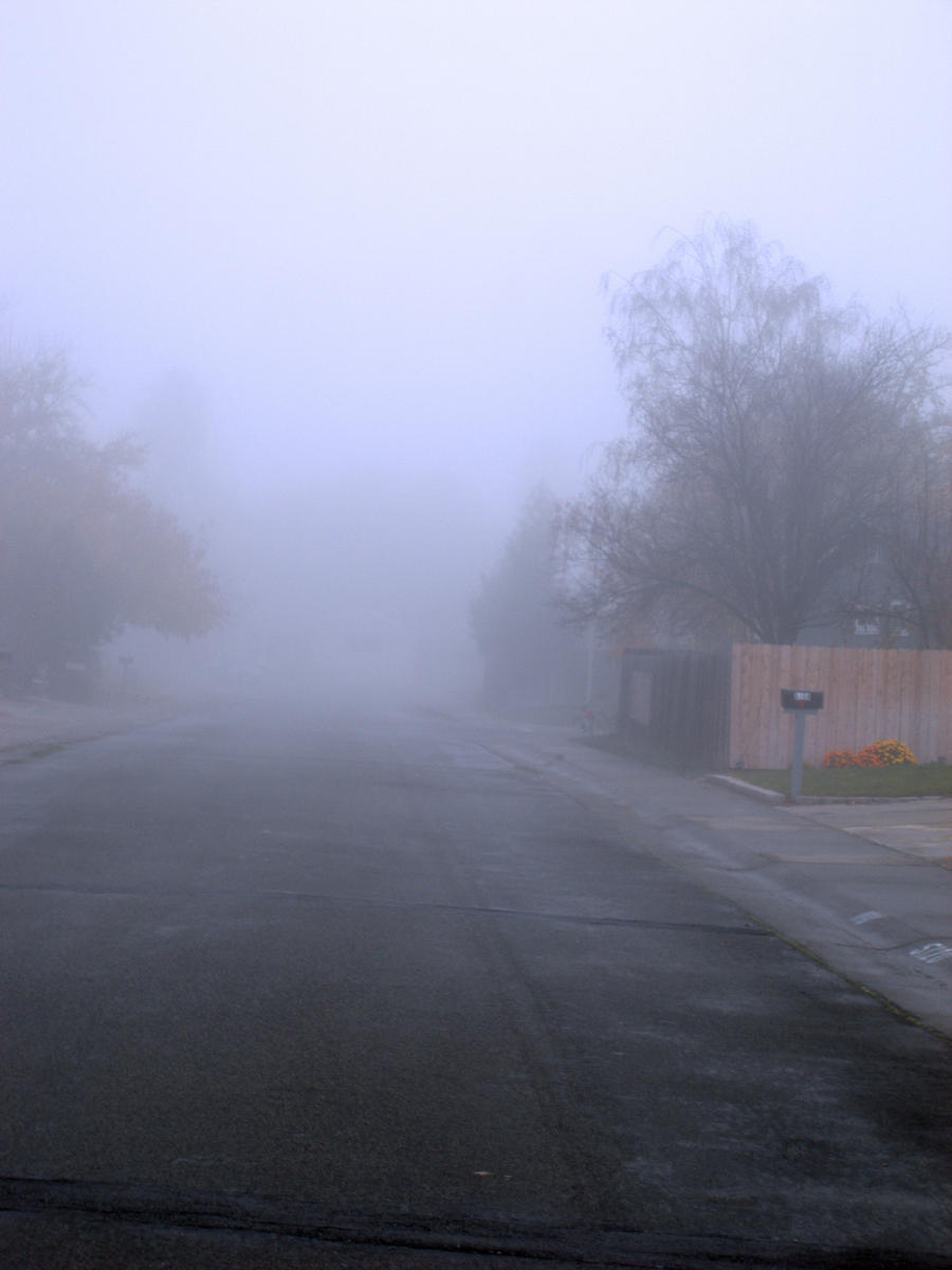 foggy street stock