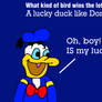 Donald the Lucky Duck Joke