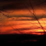 Orange Sky