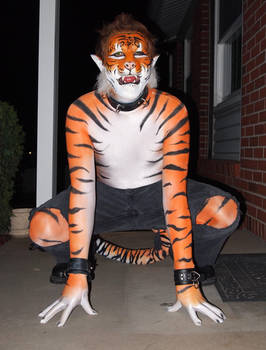 Tiger Halloween 2016